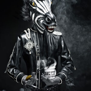zebra portrait